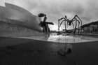 Guggenheim Spider, Bilbao