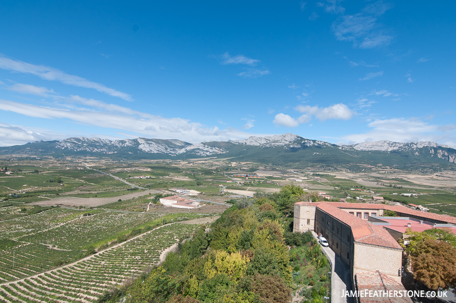 Vineyards. Basque Country and La Rioja