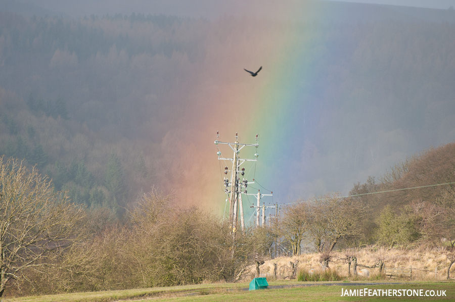 Rainbow. Goathland, North York Moors