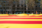 Catalan Flag. Passeig de Grácia, Barcelona