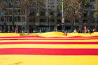 Catalan Flag