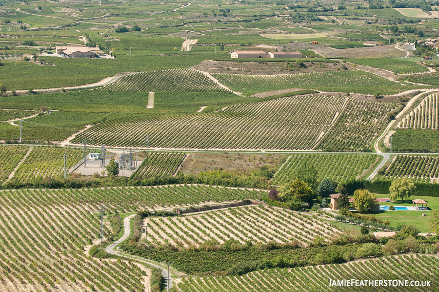 Vineyards, La Rioja