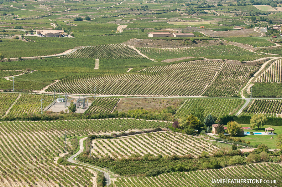 Vineyards. Basque Country, Spain
