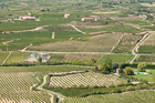 Vineyards, La Rioja