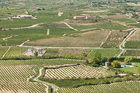 Vineyards