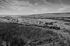 Road to Pen-Y-Ghent
