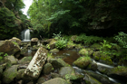 Thomason Foss waterfall, North York Moors