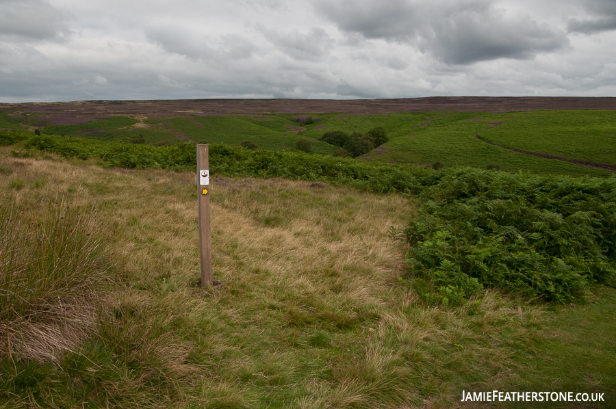 North York Moors National Park. North Yorkshire