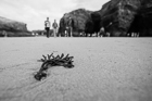 Beach of Cathedrals