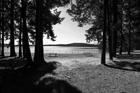 Hamsterley Beach