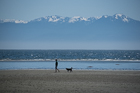 Witty's Beach