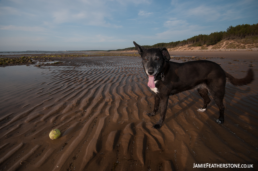 Penny. Roseisle Beach