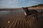 Penny. Roseisle Beach